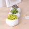 Maceta de cerámica blanca cuadrada creativa en miniatura