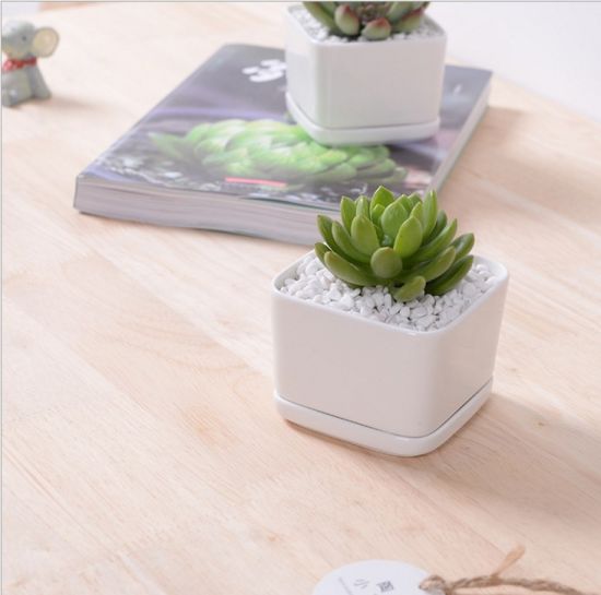 Creative Desktop - Triángulo de cerámica, mini maceta blanca