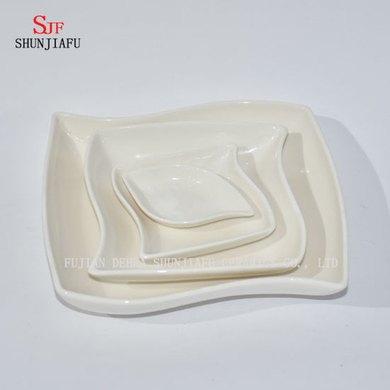 Diferentes formas. Servicio de vajilla de porcelana blanca Plato de salsa Plato