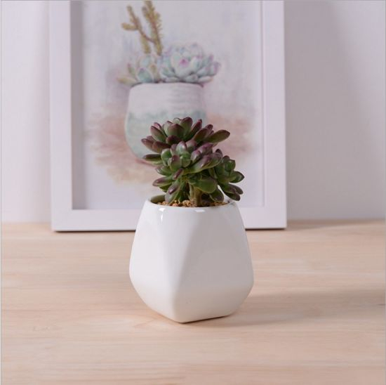 Cerámica maceta blanca Mini artículos de decoración de escritorio