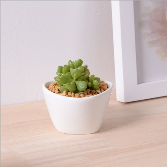 Creative Desktop - Triángulo de cerámica, mini maceta blanca