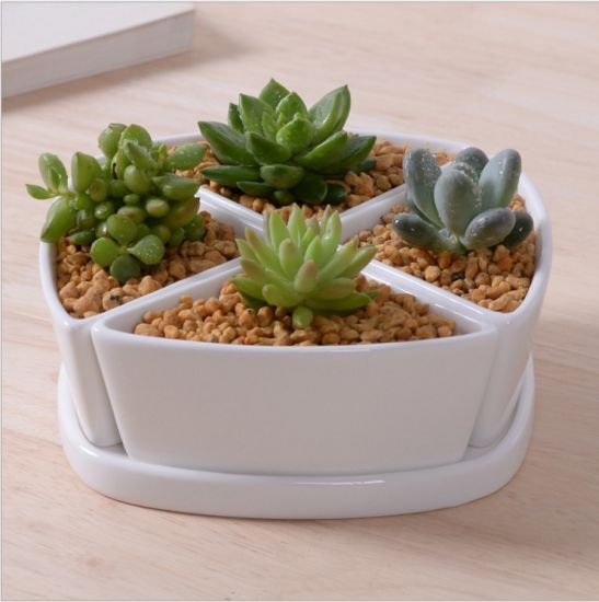 Maceta de cerámica blanca con base triangular Platos fríos surtidos